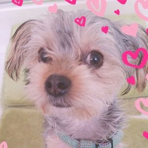 Meet your Posher, Jan